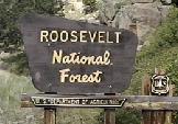 motorreis amerika door Roosevelt National Forest