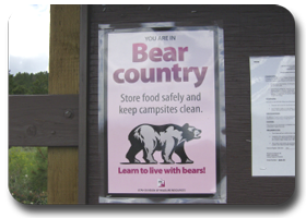 bear country