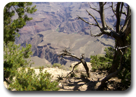 grand canyon image