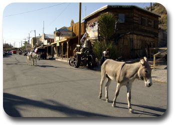 oatman