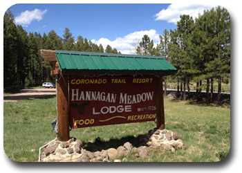 Hannagan Meadow