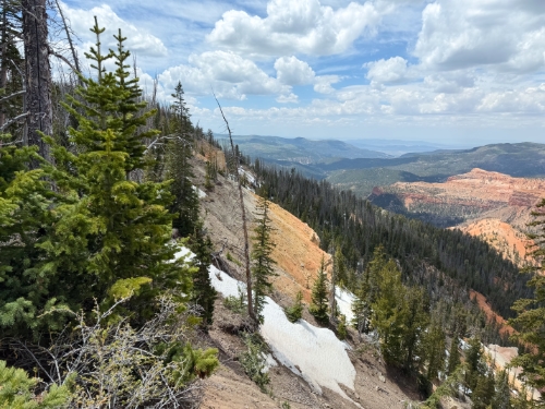 Cedar Breaks National Monument in sneeuw